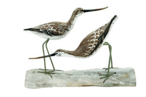 Archipelago Greenshank Block Wood Carving. D245 hand made and carved. Fairtrade