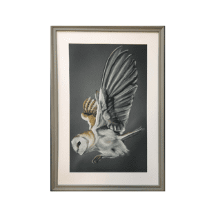 bella art barn owl limited edition