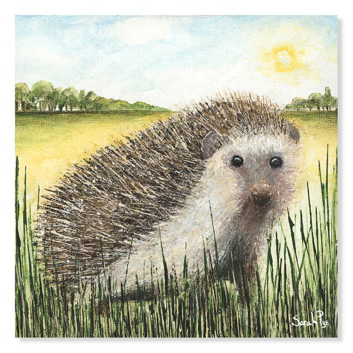 Sunshine by Sarah Pye, a hedgehog amongst grass in the countryside in blazing sunshine