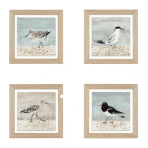 Seabirds set of 4, sea forager, oyster catcher, beach comber, shore drifter