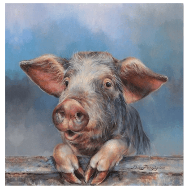 Cheeky oink canvas