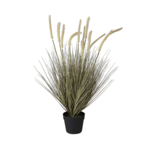 Onion Grass with Cattail in Pot