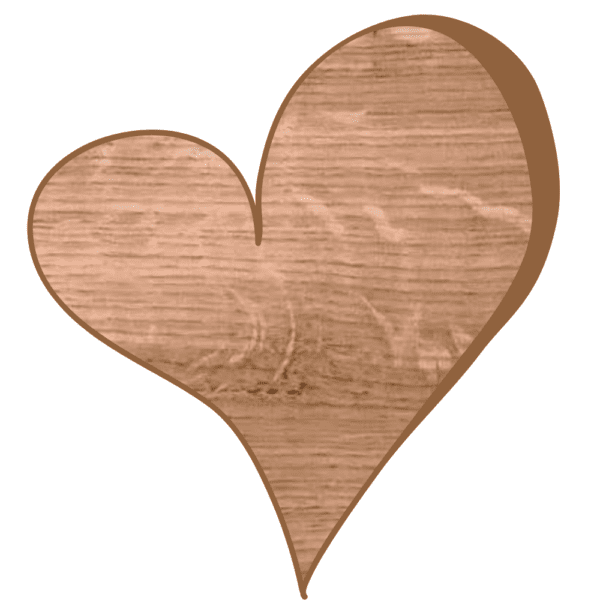 oak-heart-showing-pith-marks-