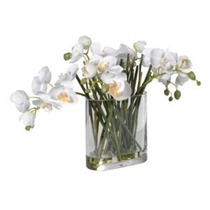 KMM682 White Orchid Phalaenopsis Stems in glass vase